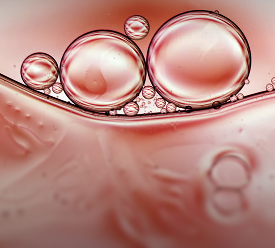 Hydrolyzed Marine Collagen
