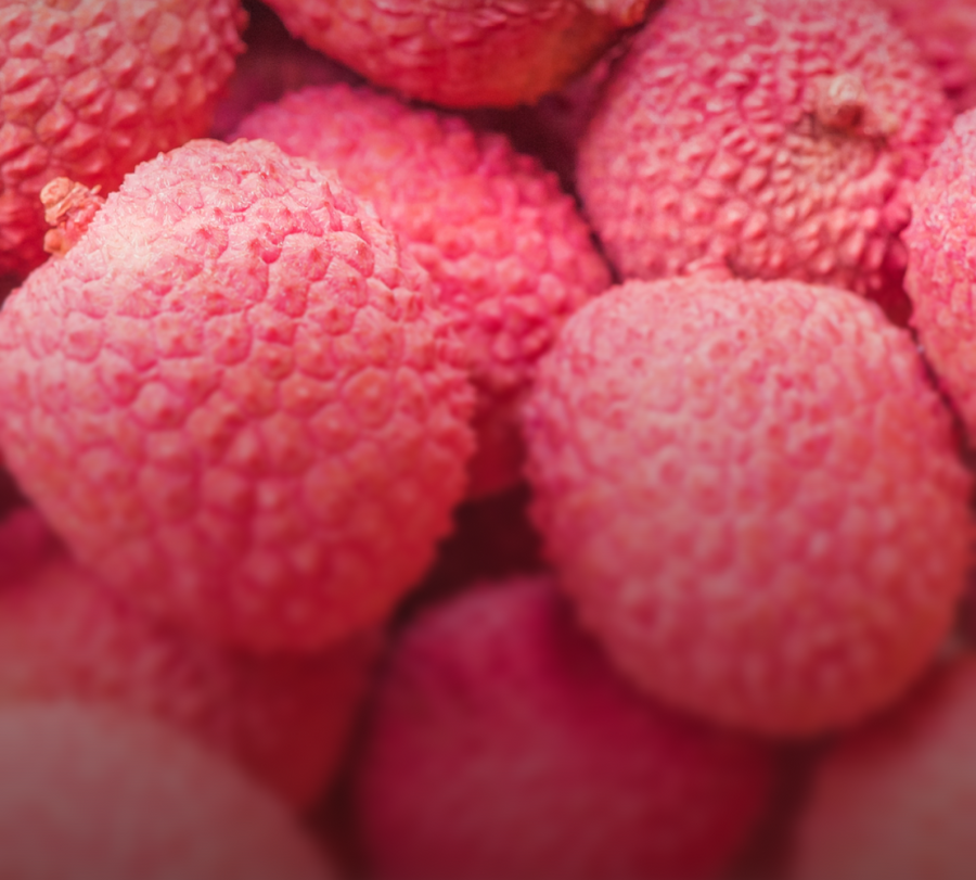 Japanese Lychee Seed Extract